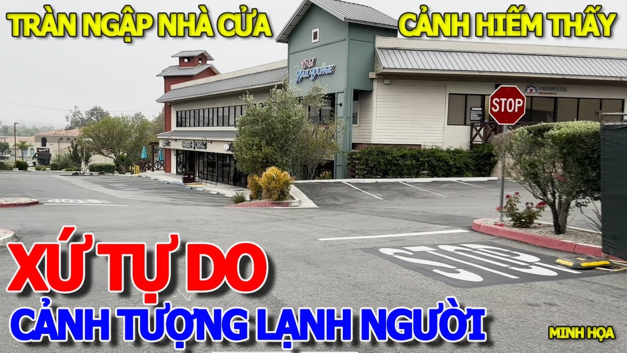 QUA MỸ THẤY CẢNH LẠNH NGƯỜI XỨ THIÊN ĐƯỜNG TỰ DO - KHÔNG BÓNG NGƯỜI NÁO NHIỆT CHEN CHÚC NHƯ SÀI GÒN