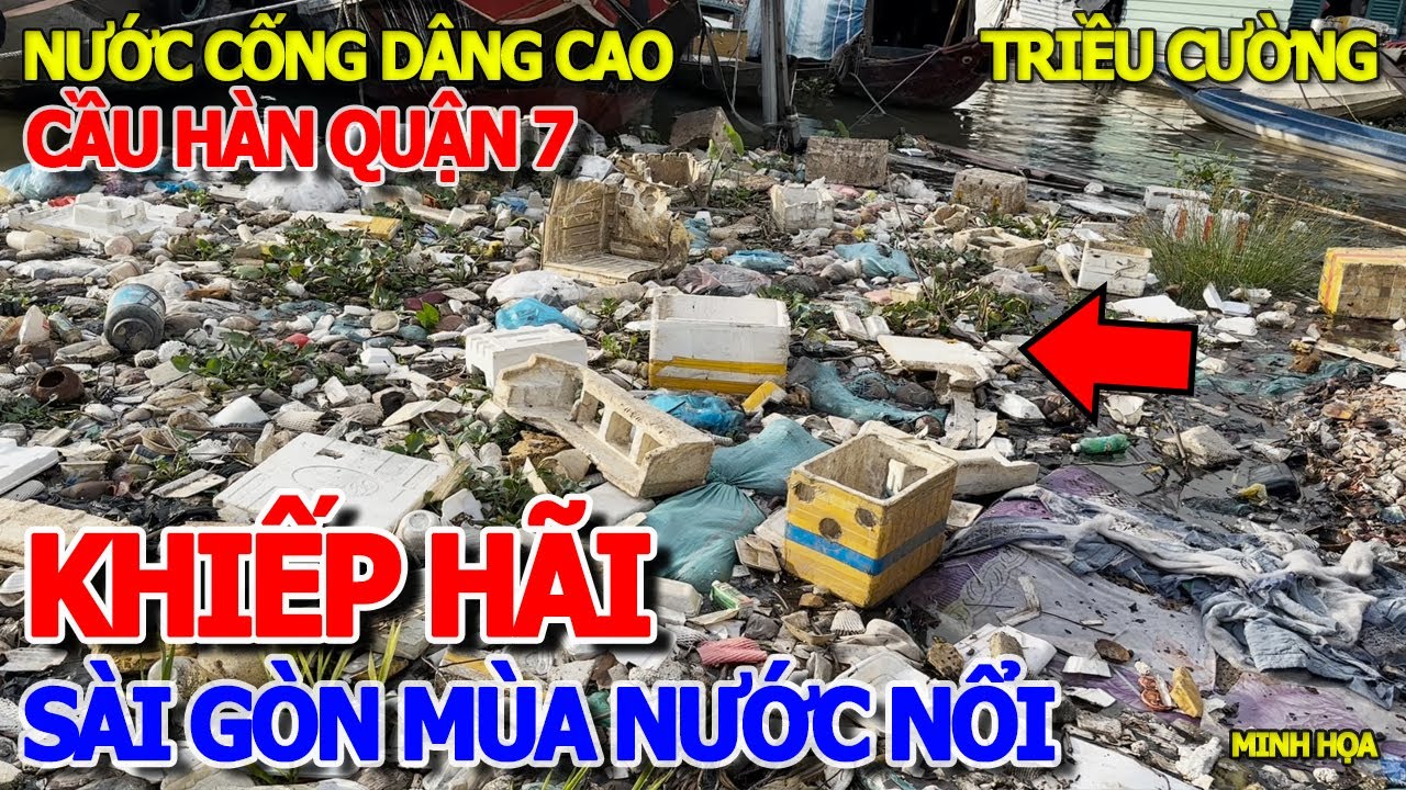 KINH HOÀNG -CHUỘT CHẠY GIÁN BÒ KHẮP NƠI & GIÂY PHÚT TRIỀU CƯỜNG NƯỚC CỐNG DÂNG NGẬP XÓM GHE CẦU HÀN