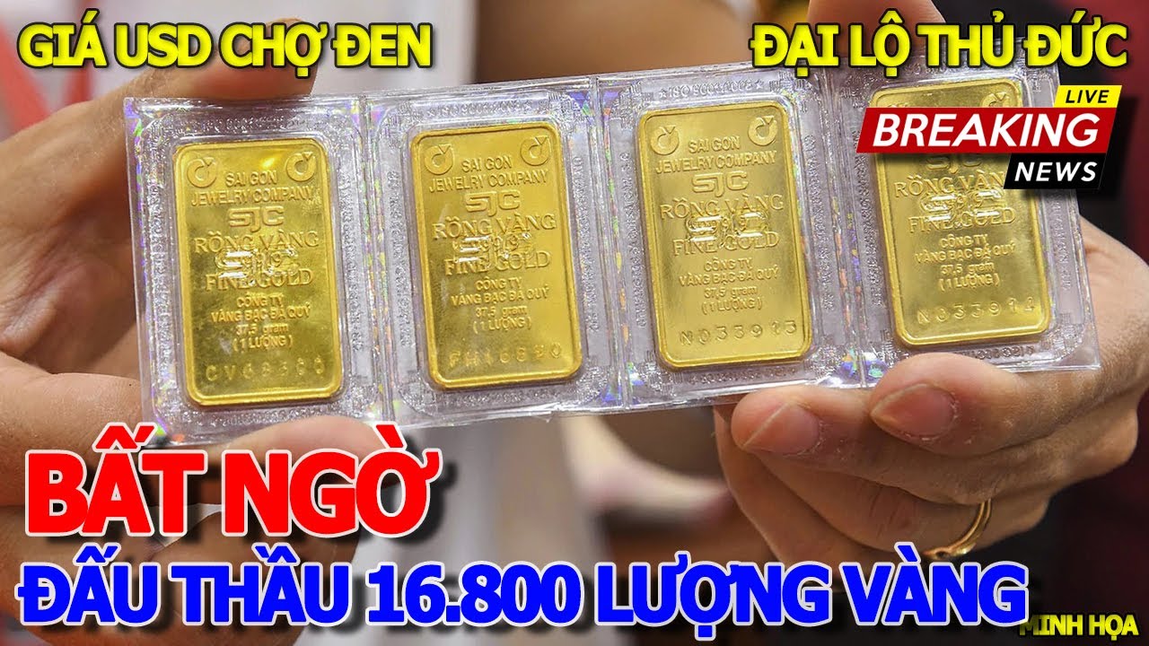 Bấn loạn GIÁ ĐÔLA CHỢ ĐEN CAO CHƯA TỪNG THẤY - BẤT NGỜ PHIÊN ĐẤU THẦU 16.800 LƯỢNG VÀNG - THỦ ĐỨC