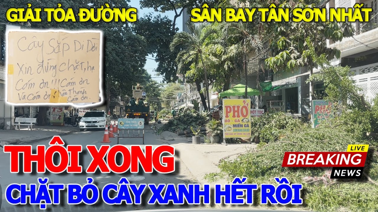 Thôi xong HIỆN TRƯỜNG CHẶT BỎ HÀNG LOẠT CÂY XANH CỔ THỤ - GIẢI TỎA ĐƯỜNG HOÀNG HOA THÁM VÀO SÂN BAY