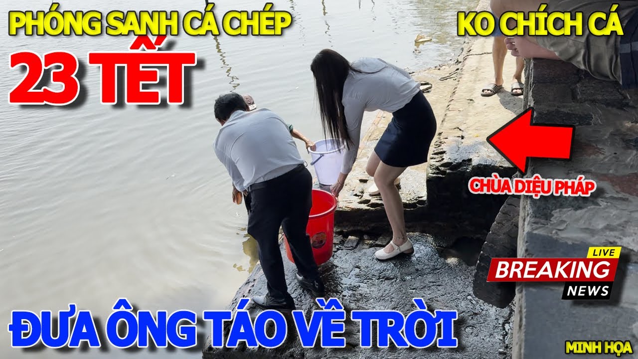 TẾT SÀI GÒN 23 THÁNG CHẠP - GIÁM ĐỐC CẦM XÔ DẪN THƯ KÝ PHÓNG SANH CÁ CHÉP ? XUẤT HIỆN TÀU KIỂM NGƯ