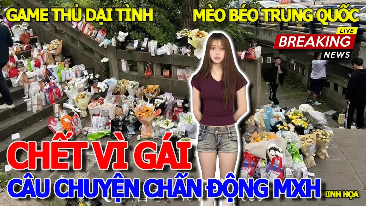 Hiện trường KINH NGẠC CHƯA TỪNG THẤY - GAME THỦ MÈO BÉO TRUNG QUỐC YÊU ĐƠN PHƯƠNG & CÁI KẾT BI THẢM