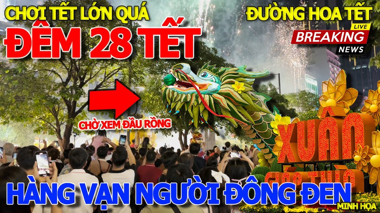 Chơi tết lớn quá ĐÊM 28 THÁNG CHẠP BẮN PHÁO HOA & HÀNG VẠN NGƯỜI BAO VÂY ĐƯỜNG HOA CHỜ MỞ RÀO