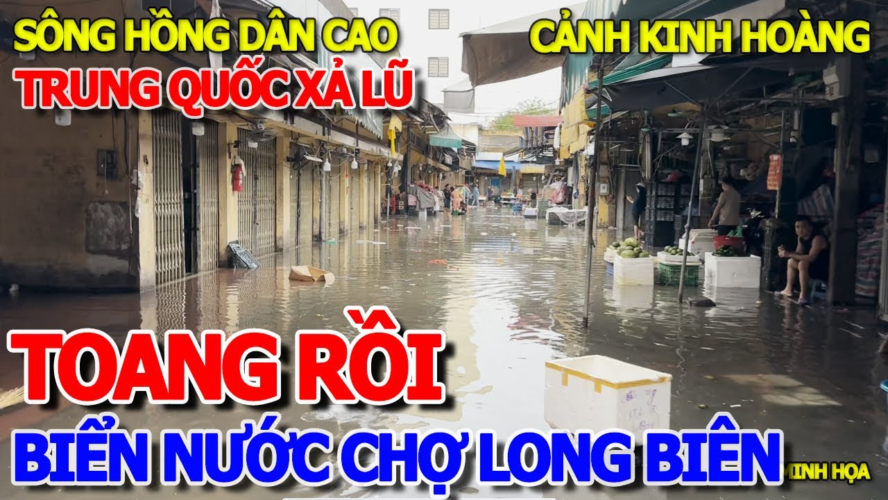 TOANG RỒI - TRUNG QUỐC XẢ LŨ & TÌNH HÌNH BIỂN NƯỚC BAO VÂY CHỢ LONG BIÊN - CHỢ NÔNG SẢN HÀ NỘI