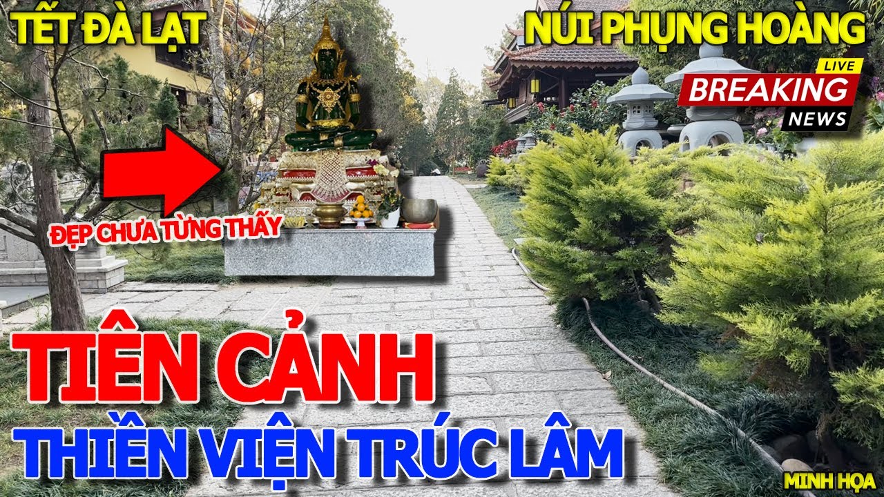 Không ngờ cảnh này LẠC GIỚI CHỐN DƯƠNG GIAN - THIỀN VIỆN TRÚC LÂM NÚI PHỤNG HOÀNG ĐÀ LẠT TẾT 2024