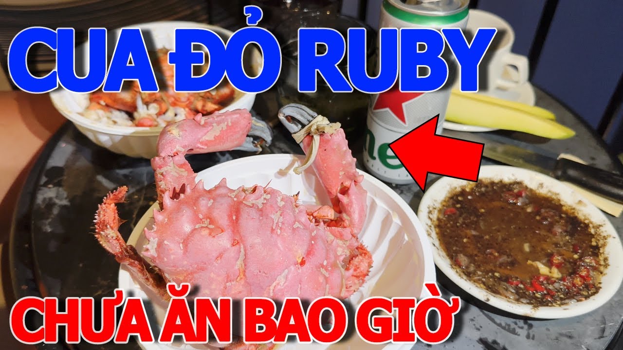 Lần đầu ăn thử CUA NỮ HOÀNG - CUA ĐỎ RUBY - CUA LÔNG giá tại vựa 280K - QUINTER CENTRAL NHA TRANG