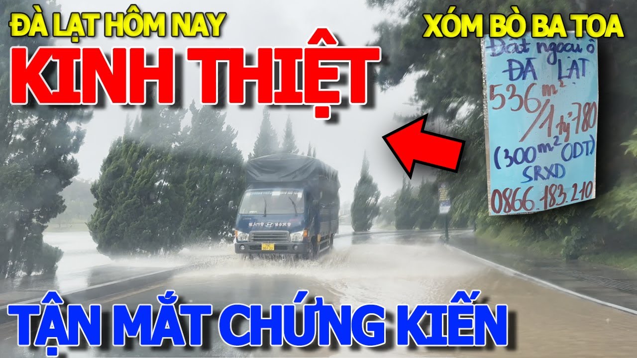 Hết hồn TẬN MẮT THẤY CẢNH hồ xuân hương NGẬP NƯỚC LÊNH LÁNG RỒI - XÓM LẨU BÒ BA TOA ĐÀ LẠT HÔM NAY