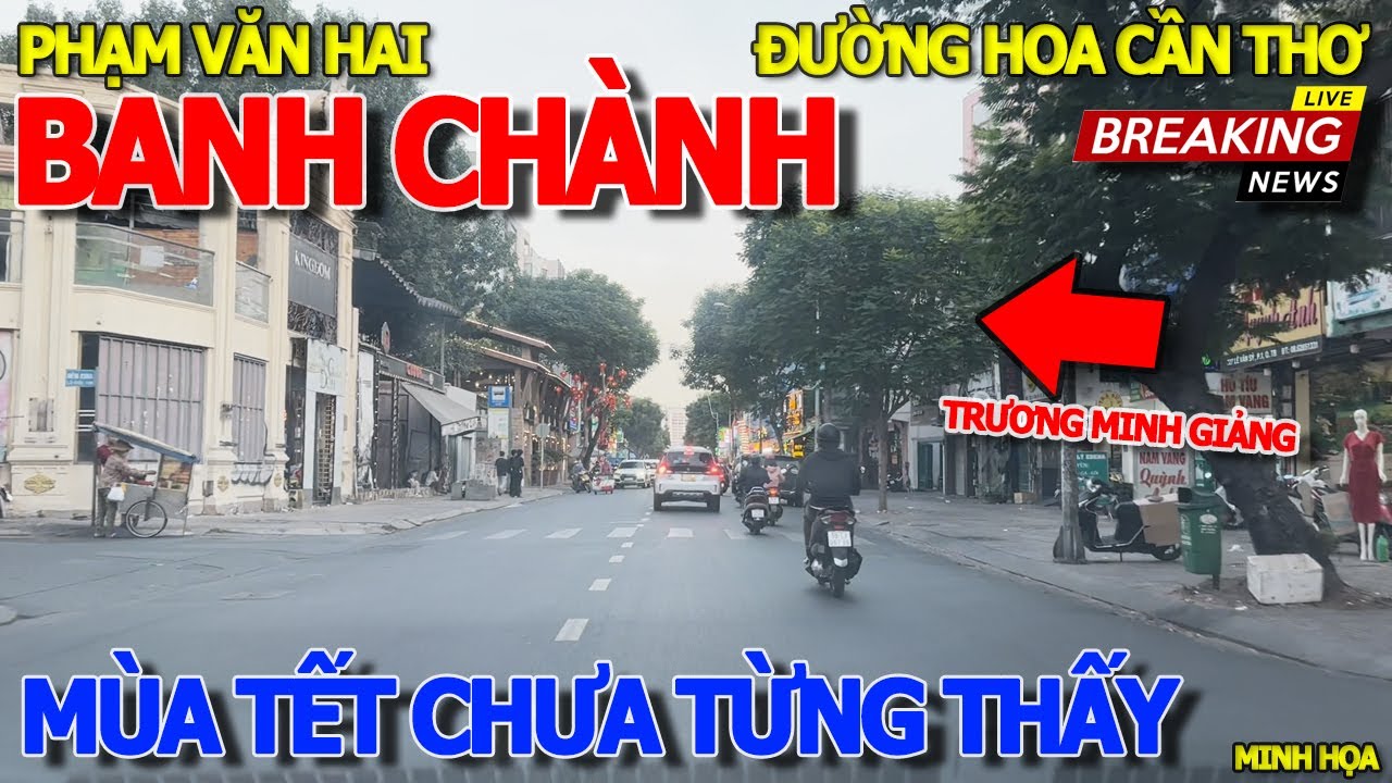 Thôi xong ĐƯỜNG HOA TẾT GIÁP THÌN 2024 CẦN THƠ & GIÂY PHÚT QUAY ĐẦU THÁO CHẠY NGAY NHÀ THỜ 3 CHUÔNG