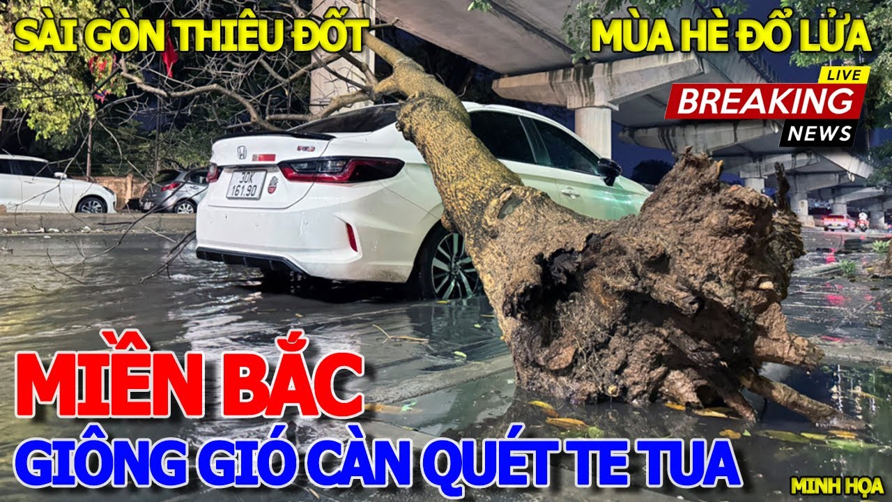 TRẬN MƯA LỚN KÈM GIÔNG LỐC CÀN QUÉT TE TUA THỦ ĐÔ HÀ NỘI - SÀI GÒN CẨN THẬN CỦI LỬA MÙA HÈ THIÊU ĐỐT