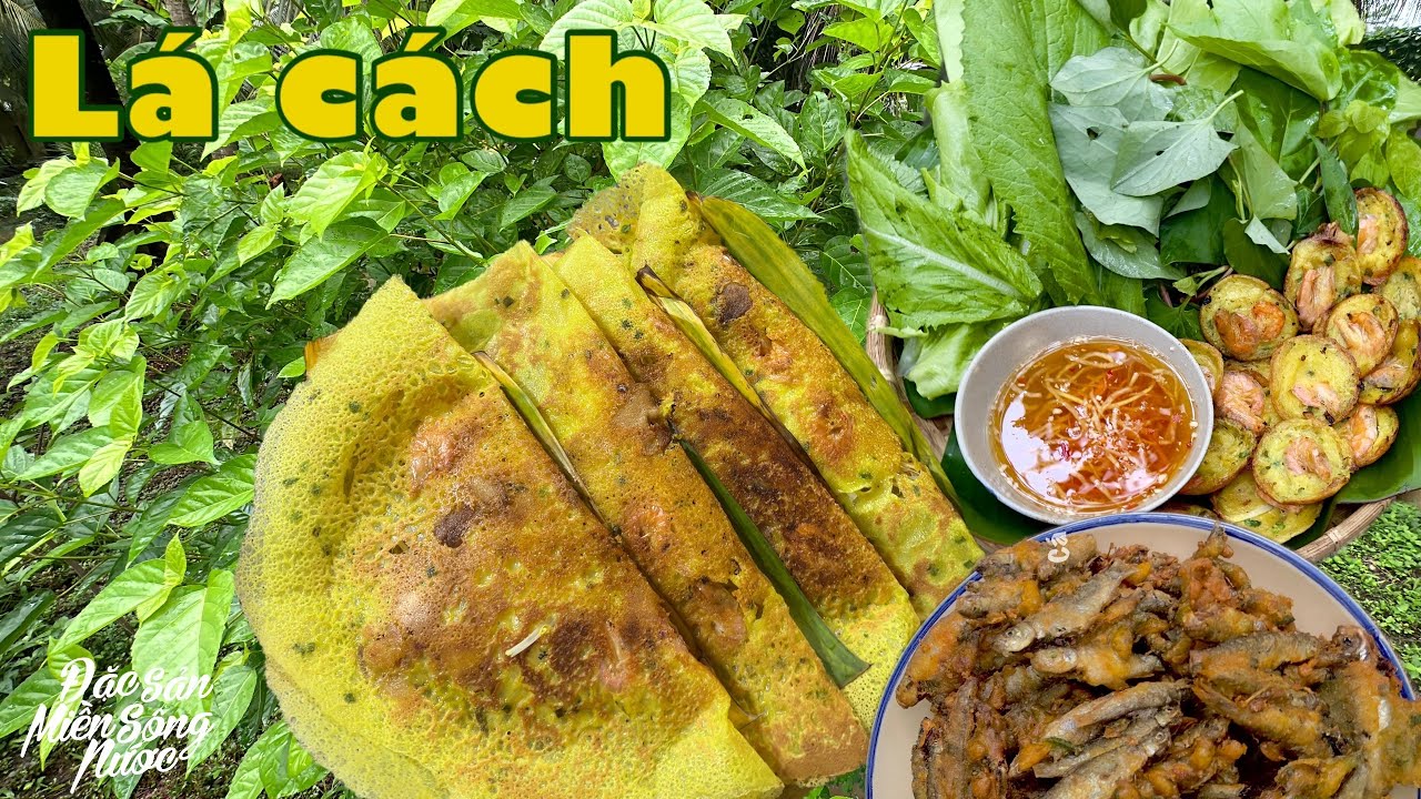 LÁ CÁCH mọc ở bờ mương, nấu món dân dã nhớ thương quê nhà| Đặc sản miền sông nước