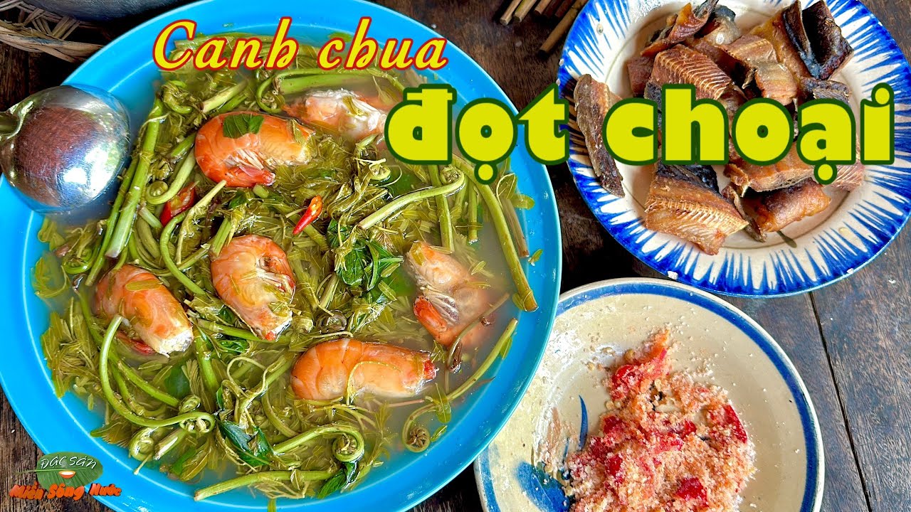 ĐỌT CHOẠI nấu với TÔM CÀNG, canh chua quê mẹ  mênh mang đường về| Đặc sản miền sông nước