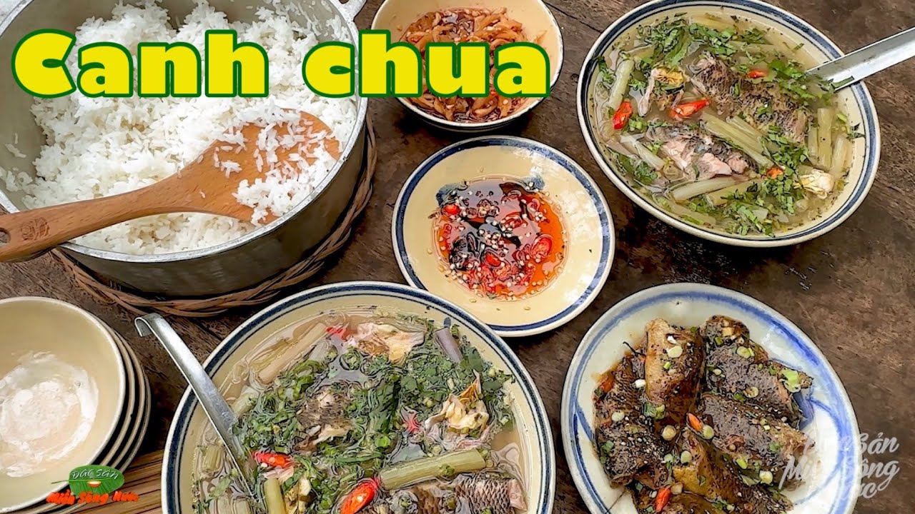 CANH CHUA BÔNG SÚNG CÁ RÔ, bới cơm ăn hết đầy tô còn thèm | Đặc sản miền sông nước