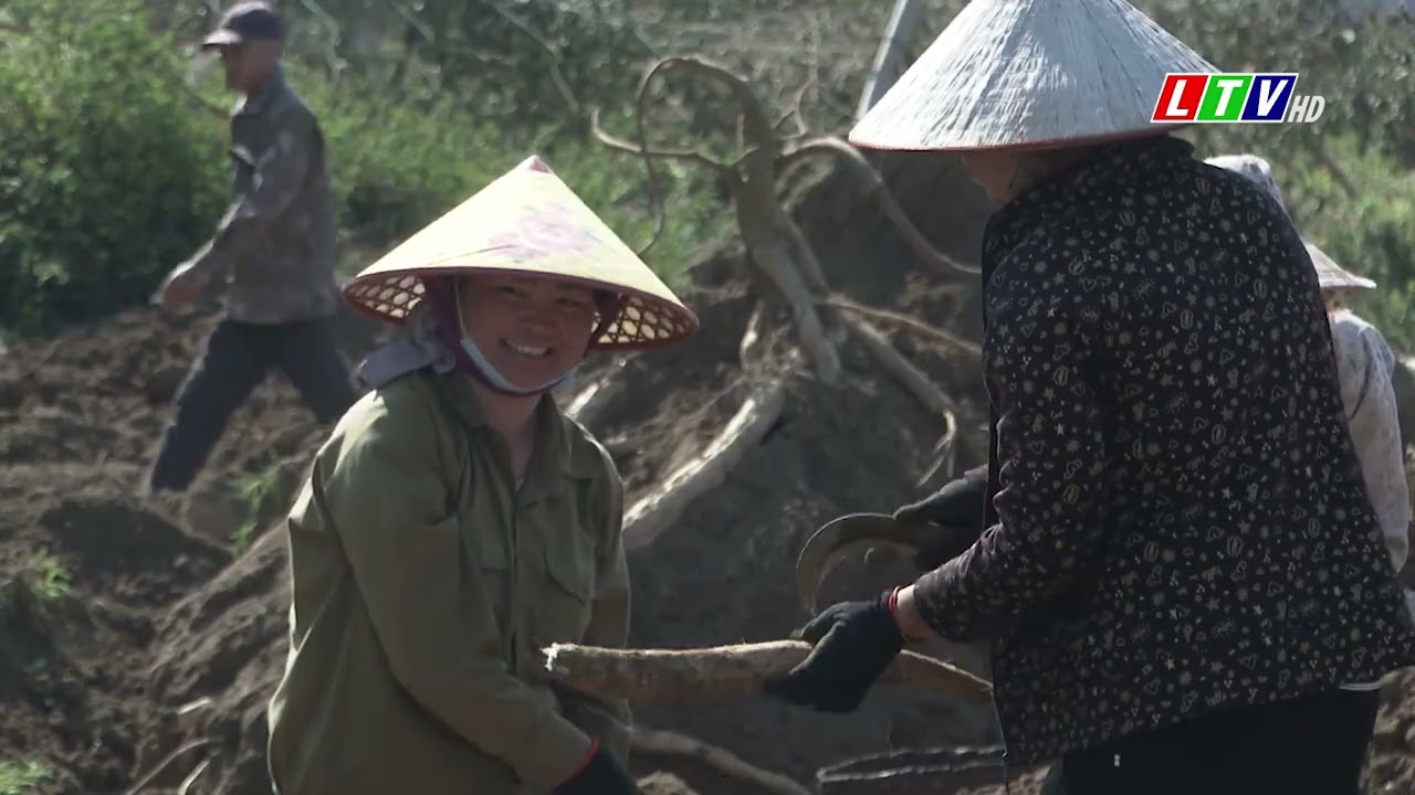 Tin tức thời sự Lai Châu trưa, ngày 11/03/2024