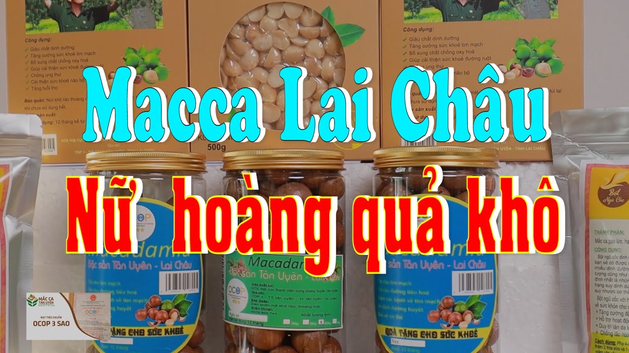 Mắc ca Tân Uyên - Lai Châu | Quy trình sản xuất Macca | Tin tức thời sự Lai Châu