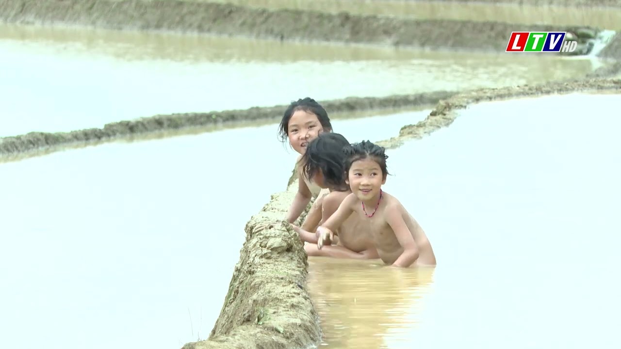 Tin tức thời sự Lai Châu trưa, ngày 12/06/2024