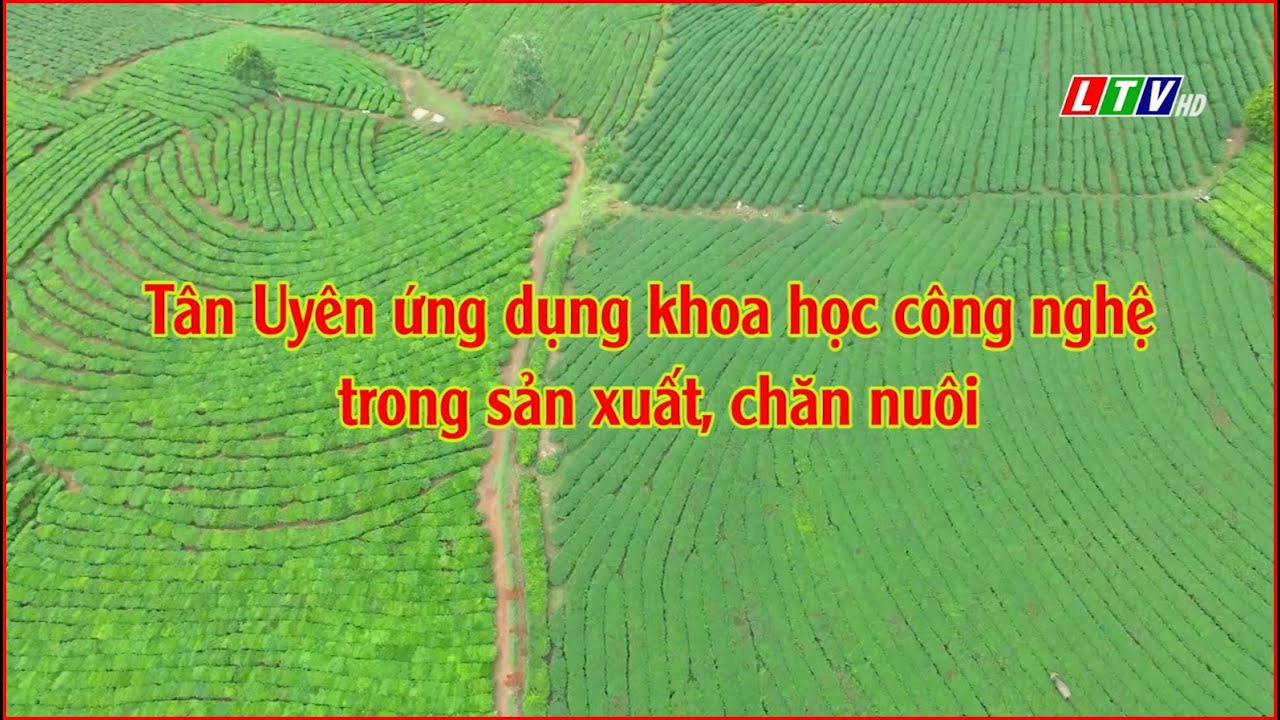 Lai Châu - Tân Uyên ứng dụng khoa học công nghệ trong sản xuất, chăn nuôi