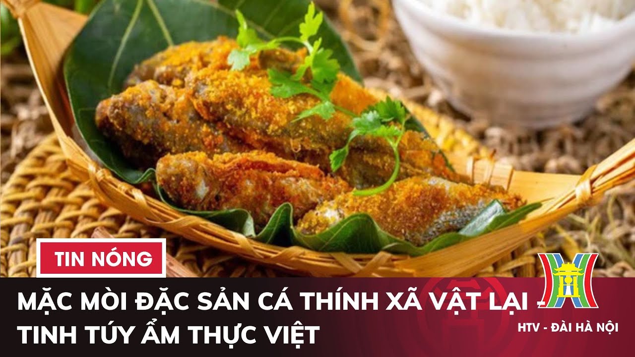 Mặc mòi đặc sản cá thính xã Vật Lại - Tinh túy ẩm thực Việt | Tin tức