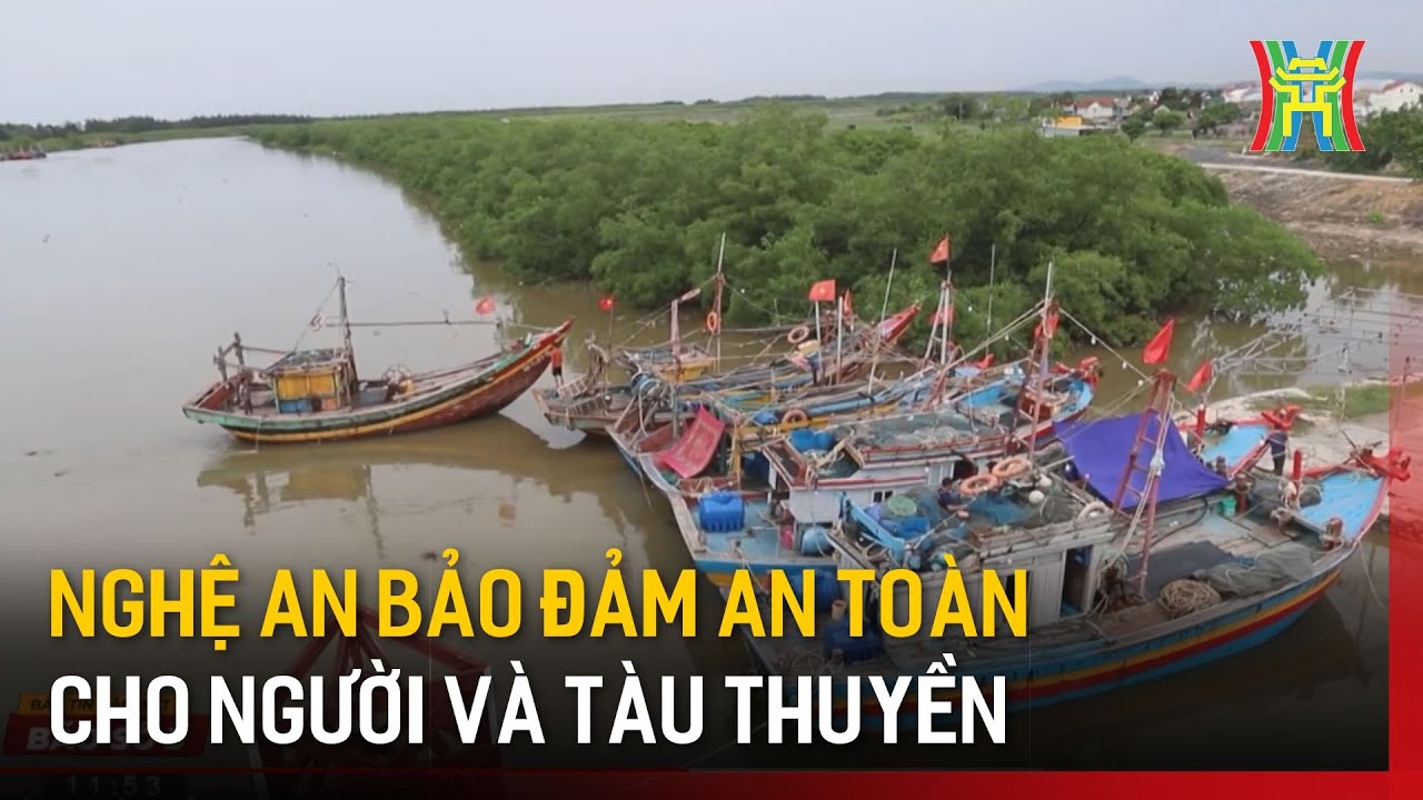 Nghệ An bảo đảm an toàn cho người, tàu thuyền tại nơi tránh trú bão | Tin tức