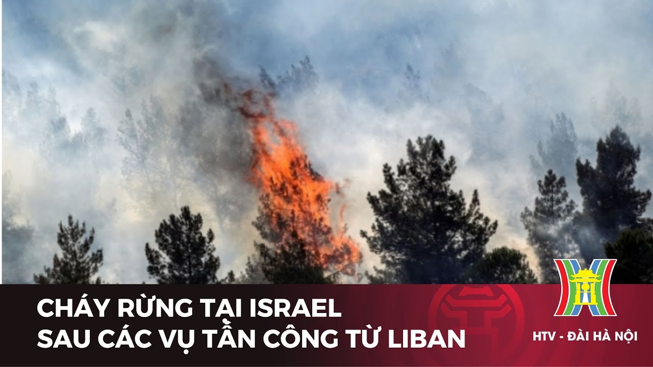 Cháy rừng dữ dội tại Israel sau các vụ tấn công từ Liban | Tin tức mới nhất | Tin quốc tế