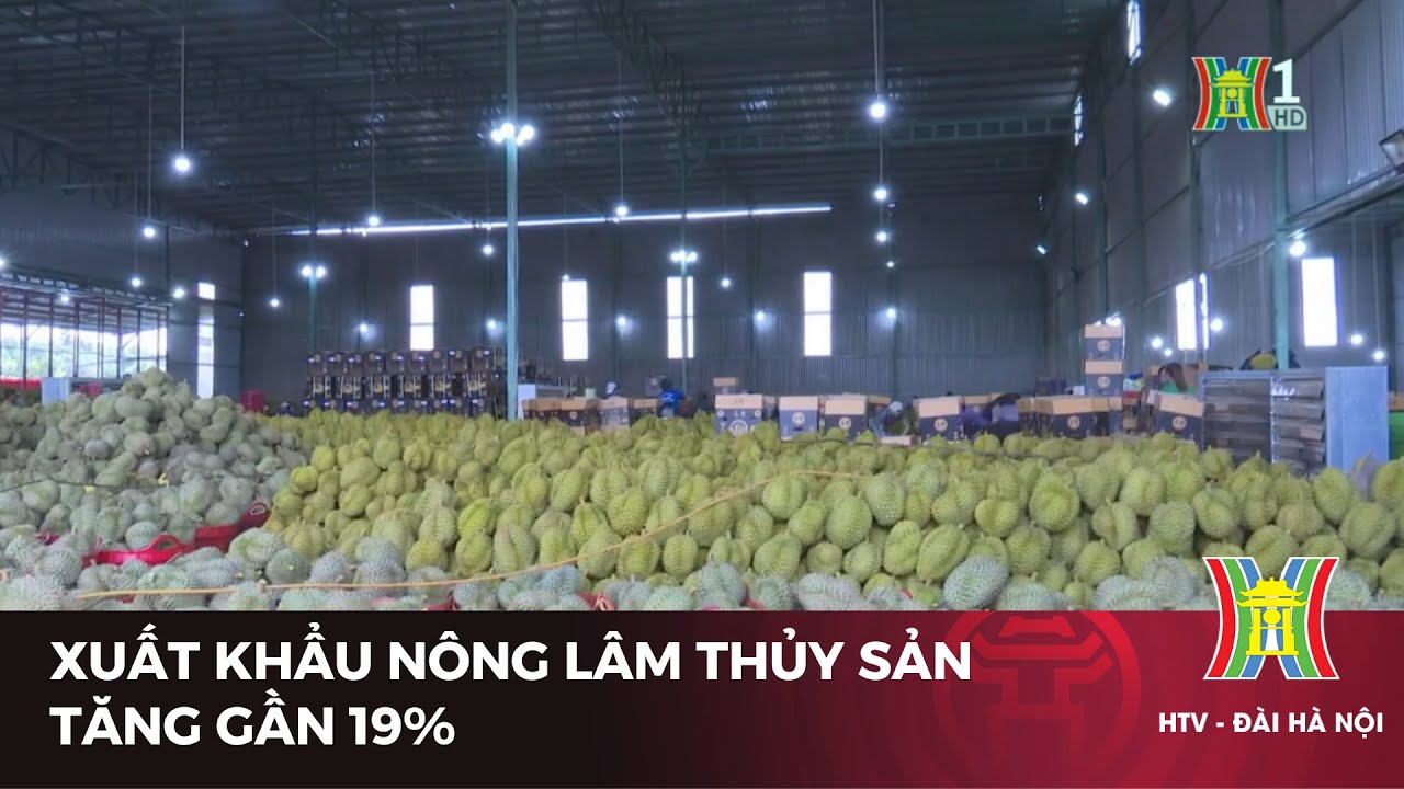 Xuất khẩu nông lâm thủy sản tăng gần 19% | Tin tức