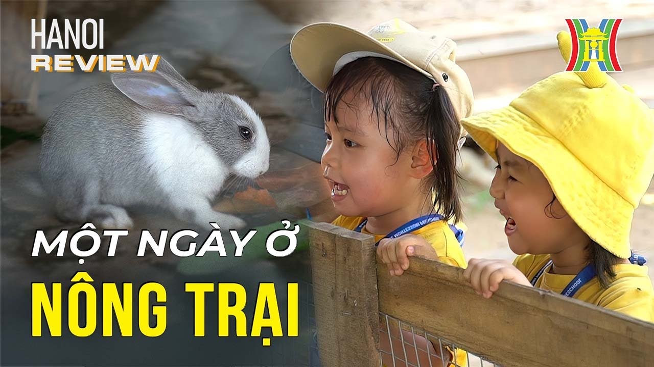 Cầm 50k thoả sức "nuôi cá và trồng thêm rau" ngay tại Hà Nội | Hanoi Review