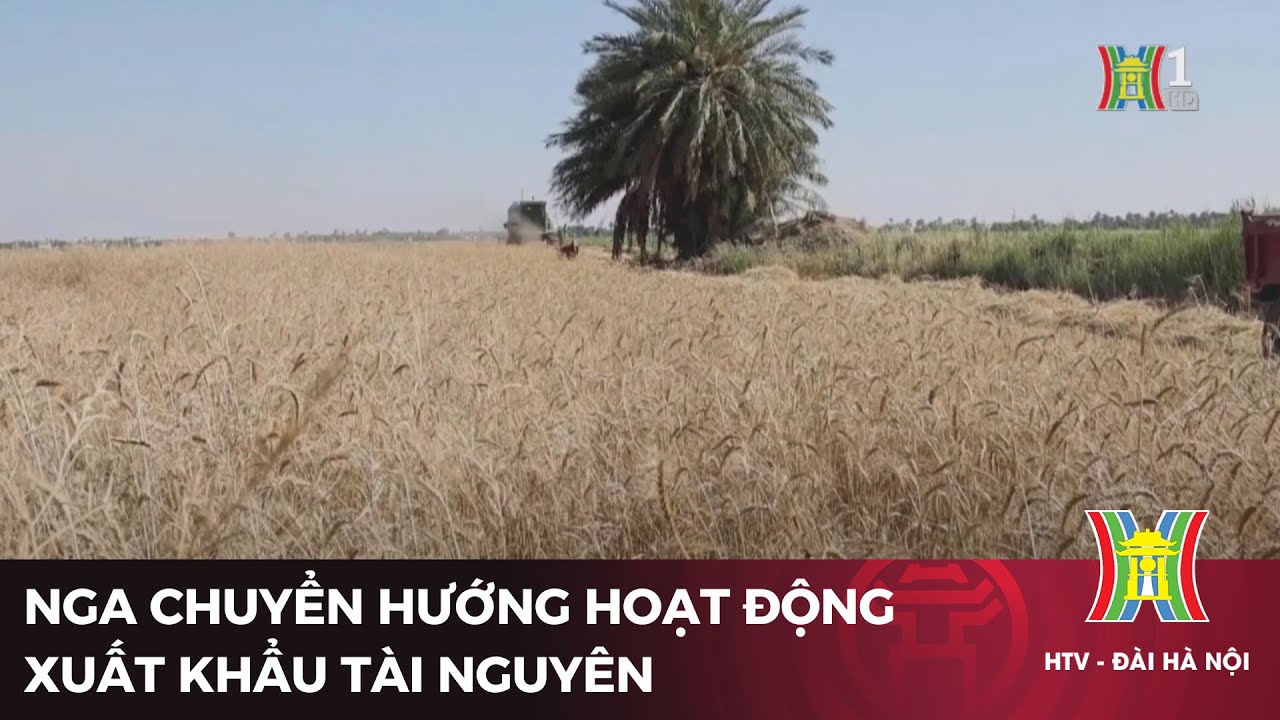 Nga chuyển hướng hoạt động xuất khẩu tài nguyên | Tin tức mới nhất | Tin quốc tế