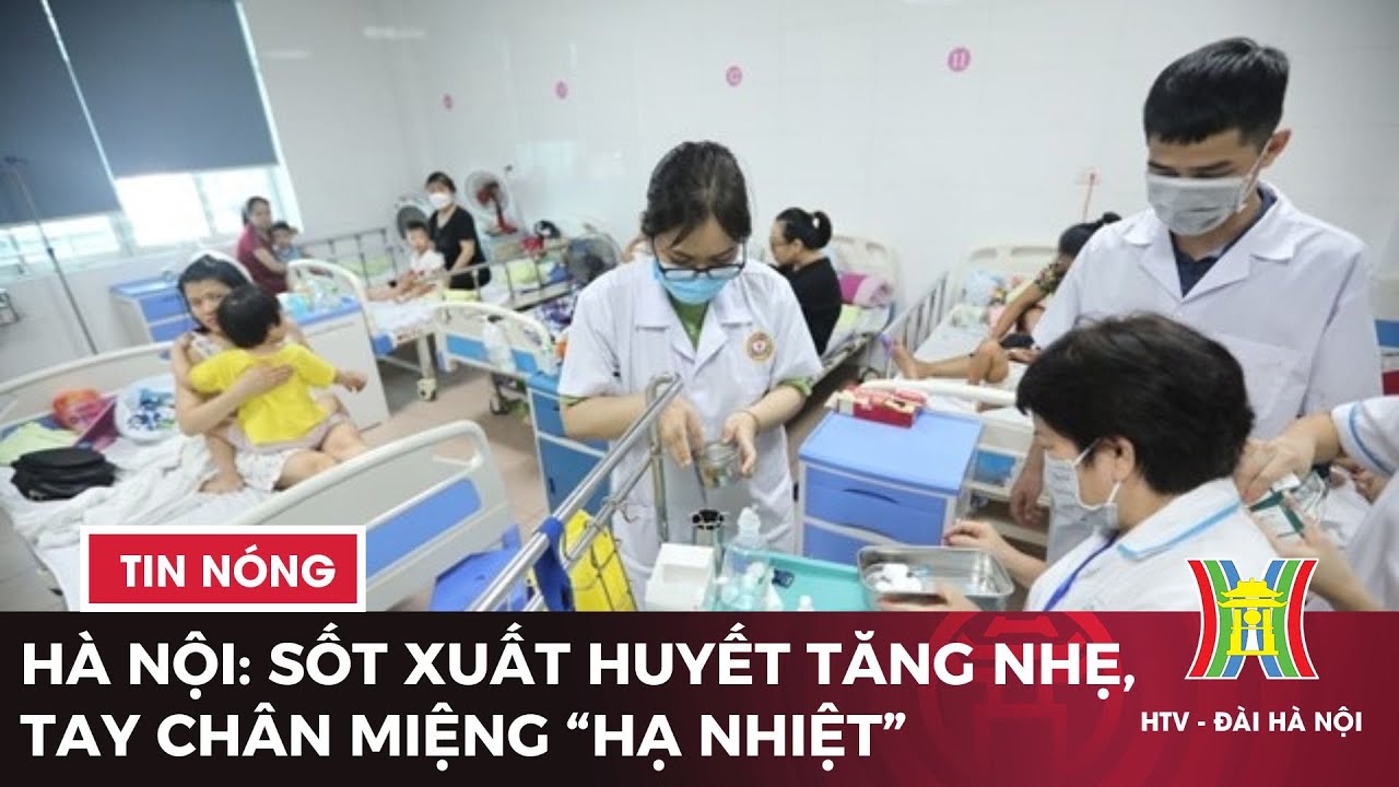 Hà Nội: Sốt xuất huyết tăng nhẹ, tay chân miệng “hạ nhiệt” | Tin tức mới nhất hôm nay