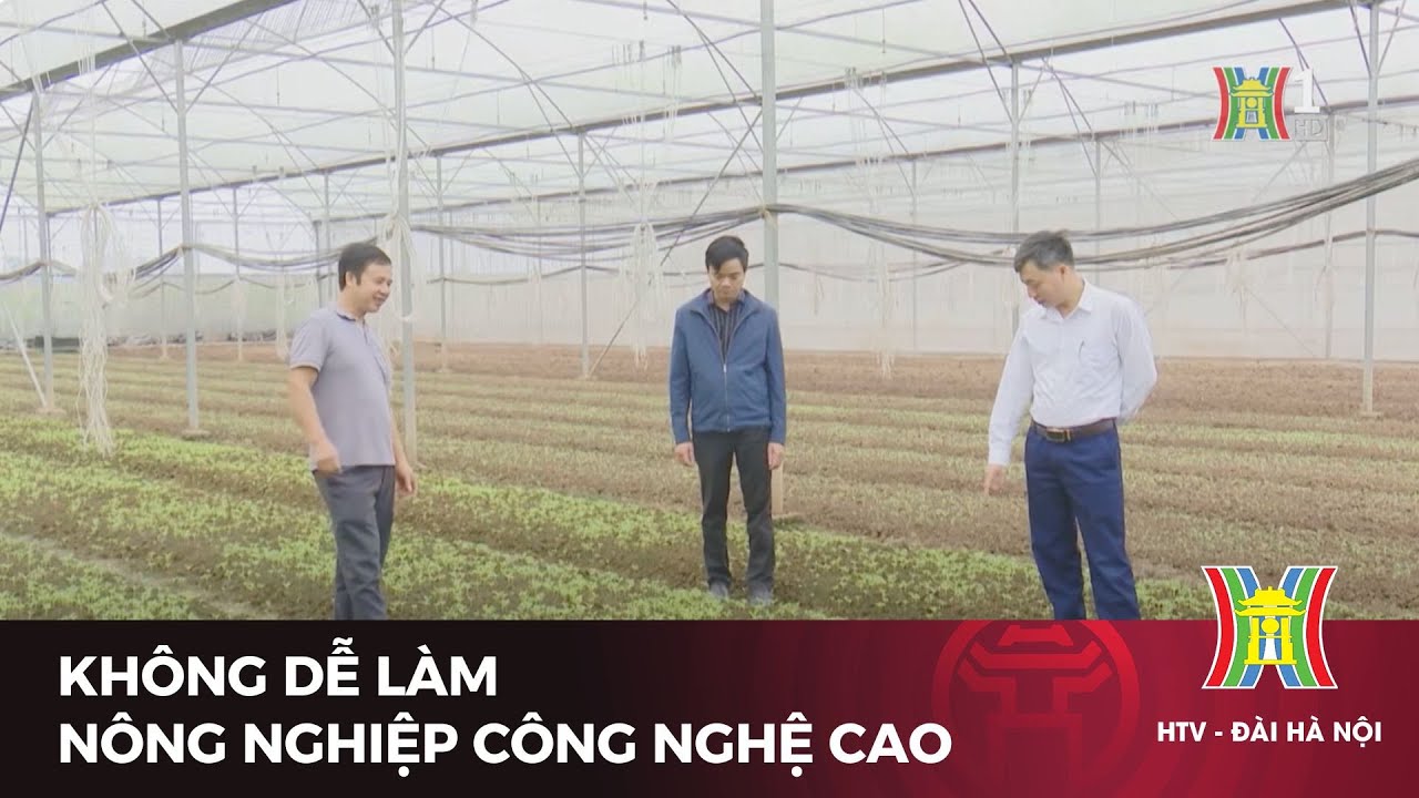 Không dễ làm nông nghiệp công nghệ cao | Tin tức mới nhất hôm nay