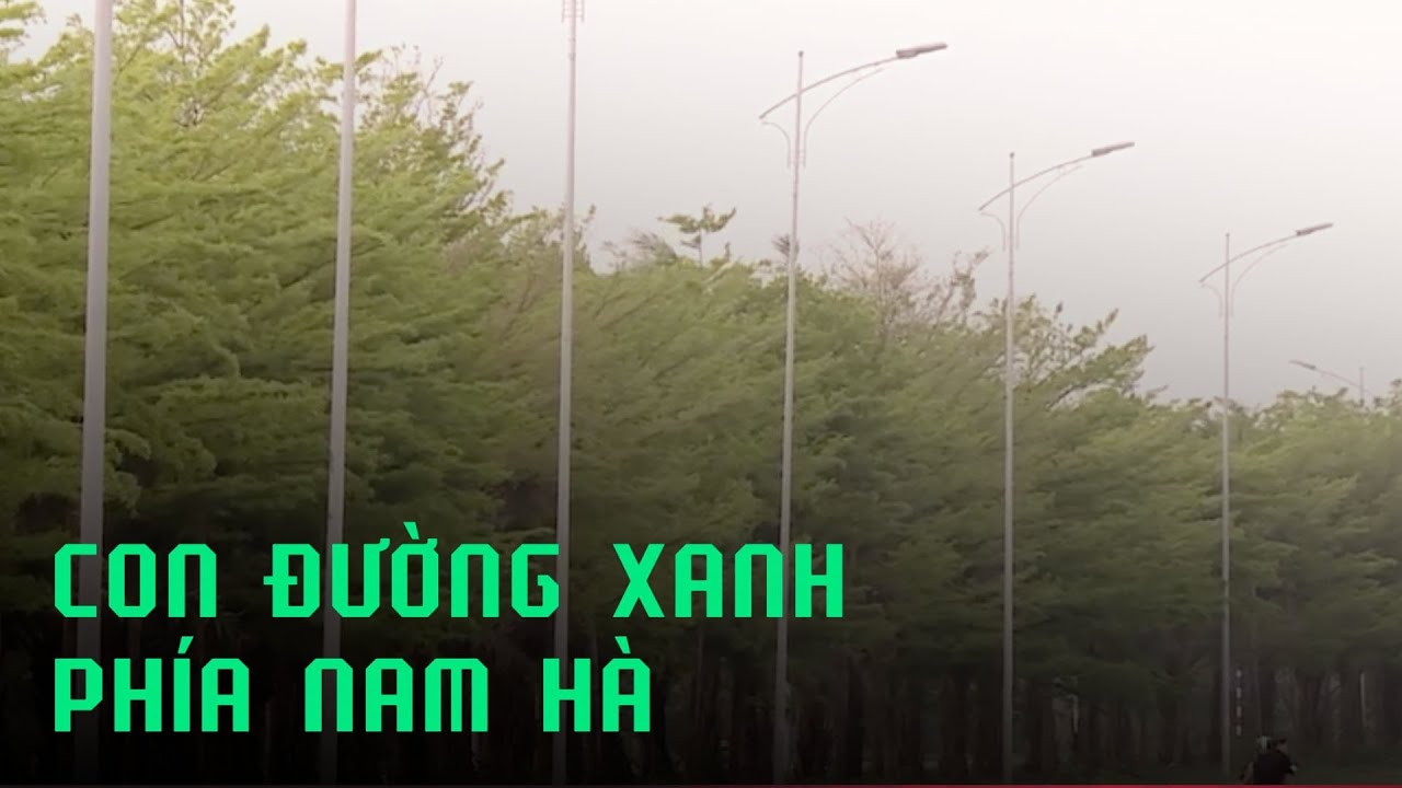 Mãn nhãn với con đường xanh phía Nam Thủ đô | Tin tức mới nhất hôm nay