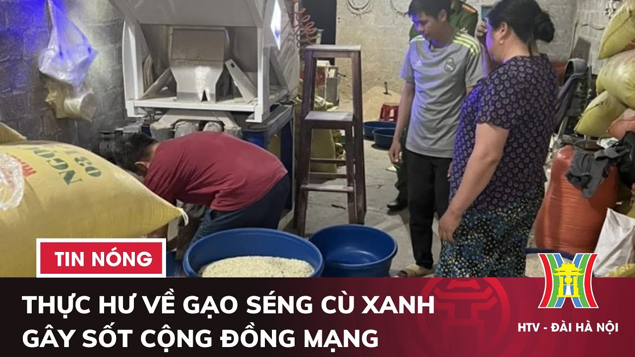 Thực hư về gạo Séng cù xanh gây sốt cộng đồng mạng | Tin nóng nhất hôm nay