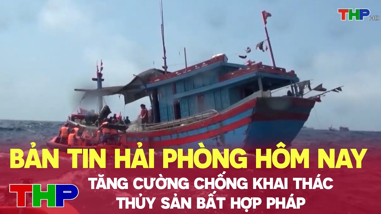 Bản tin Hải Phòng hôm nay (11/06/2024): Tăng cường chống khai thác thủy sản bất hợp pháp