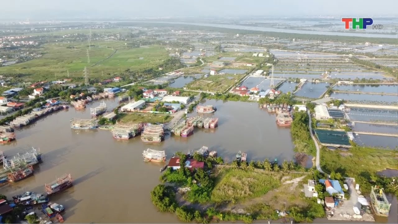 Bản tin thời sự tối (03/03/2024)