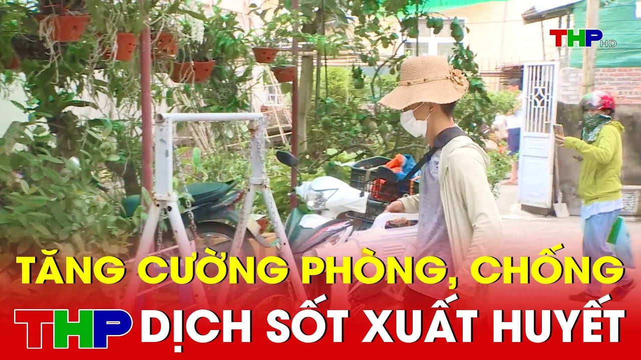 Tăng cường phòng, chống dịch sốt xuất huyết