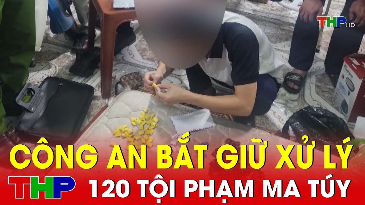 Công an quận Hồng Bàng đã bắt giữ xử lý 120 đối tượng - Phòng chống tội phạm ma túy