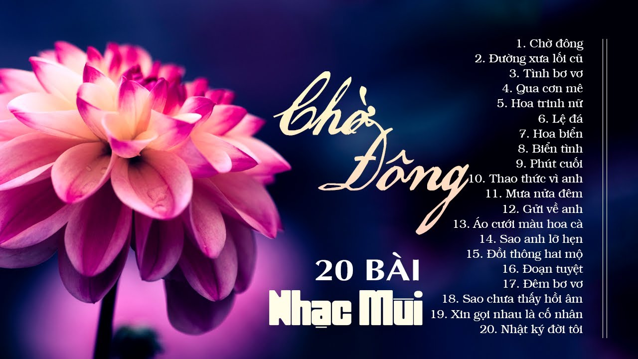 20 Bài Nhạc Mùi Nghe Ghiền Mãi Không Quên - LK Nhạc Vàng Hải Ngoại Chờ Đông, Đường Xưa Lối Cũ