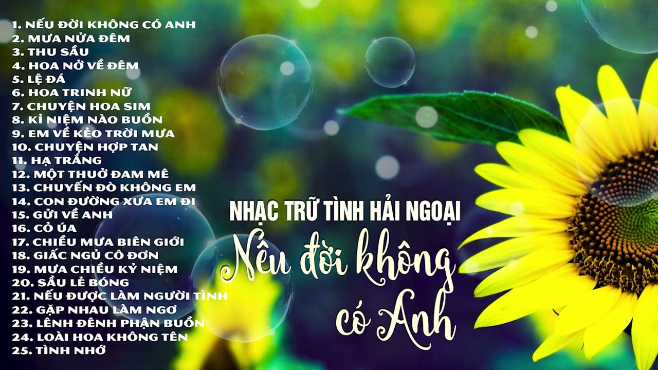 Nhất Định Phải Nghe Thử Giọng Ca Này - LK Nhạc Tình Hải Ngoại Tuyển Chọn Nghe Say Mê Tâm Hồn