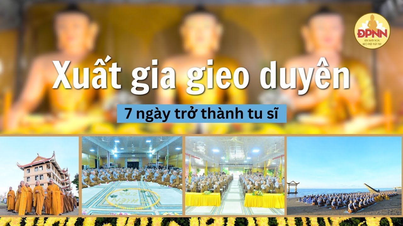 Xuất gia gieo duyên TRẢI NGHIỆM 7 NGÀY LÀM TU SĨ tại sao không?