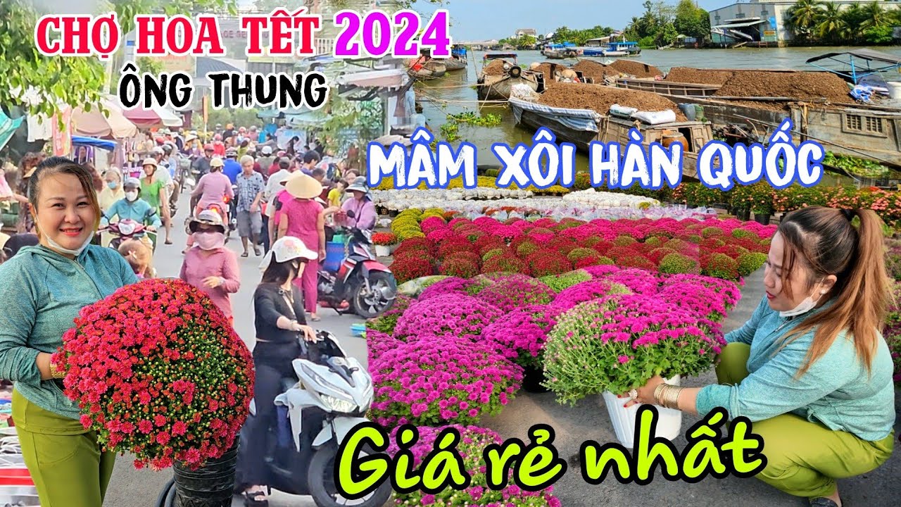 "Bất ngờ" CÚC MÂM XÔI GIÁ RẺ NHẤT Làng Hoa Sa Đéc Chợ Ông Thung Tết 2024