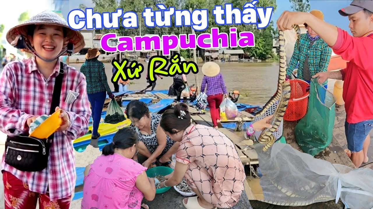 Chưa từng thấy chợ Cửa Khẩu Campuchia bán Rắn nhiều hơn Cá Linh