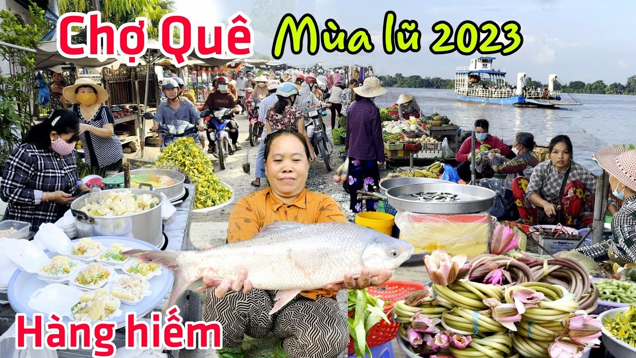 Chợ quê Miền Tây mùa lũ 2023 - Bất ngờ gặp "CÁ KHỦNG" chợ An Long Tam Nông