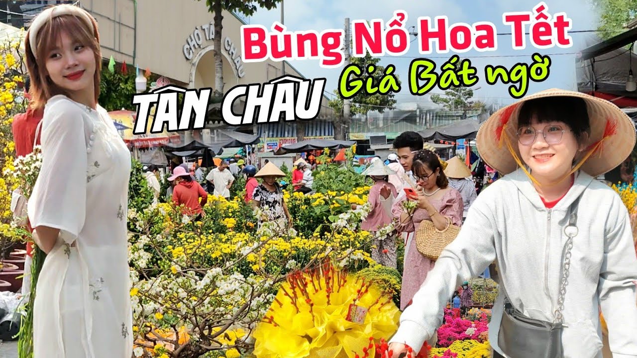 Bùng Nổ Hoa Tết giá bất ngờ CHỢ TÂN CHÂU - Ai cũng xinh tết 2024