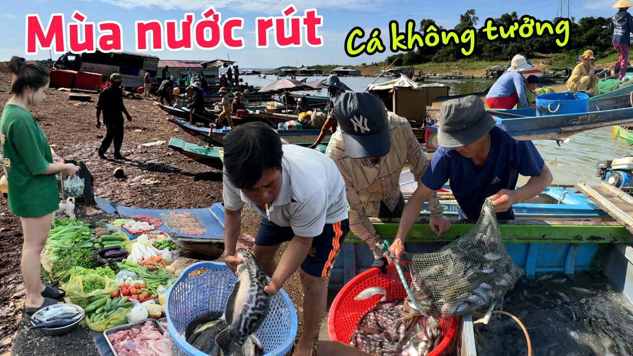 Bất ngờ nước rút cả xóm kéo nhau bắt cá ở Suối Tượng Hồ Trị An - Cá nhiều không tưởng