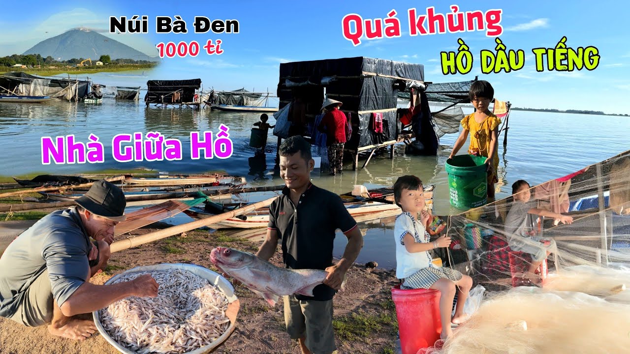 Lớn khủng khiếp Hồ Dầu Tiếng - Nghề CÁ mưu sinh, Nhà Ở dưới lồng hồ rộng lớn