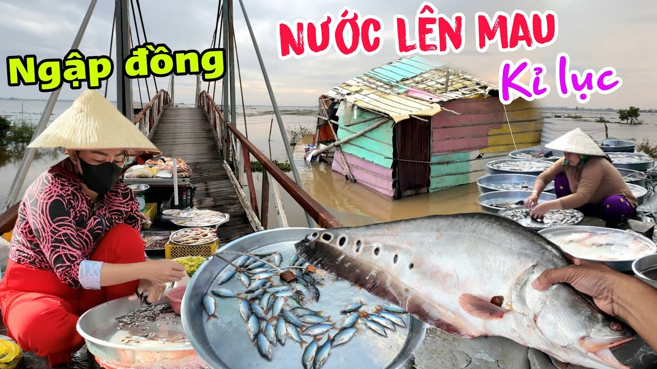 Nước Sông Tiền lên mau kỉ lục - Ngập tràn Cá mùa nước nổi chợ biên giới Campuchia