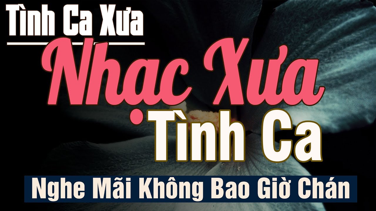 Nhạc Xưa Tình Ca Càng Nghe Càng Tha Thiết, Đắt Giá Vô Cùng | Tình Ca Hải Ngoại Vượt Thời Gian