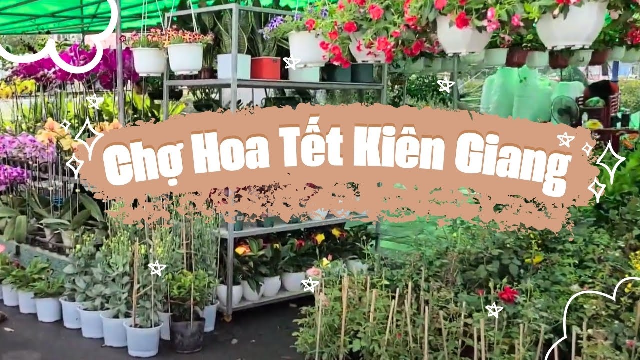 Chợ Tết Kiên Giang Với Những Cây Mai Vàng Tiền Tỷ Độc Lạ | Đỗ Hoài Thương