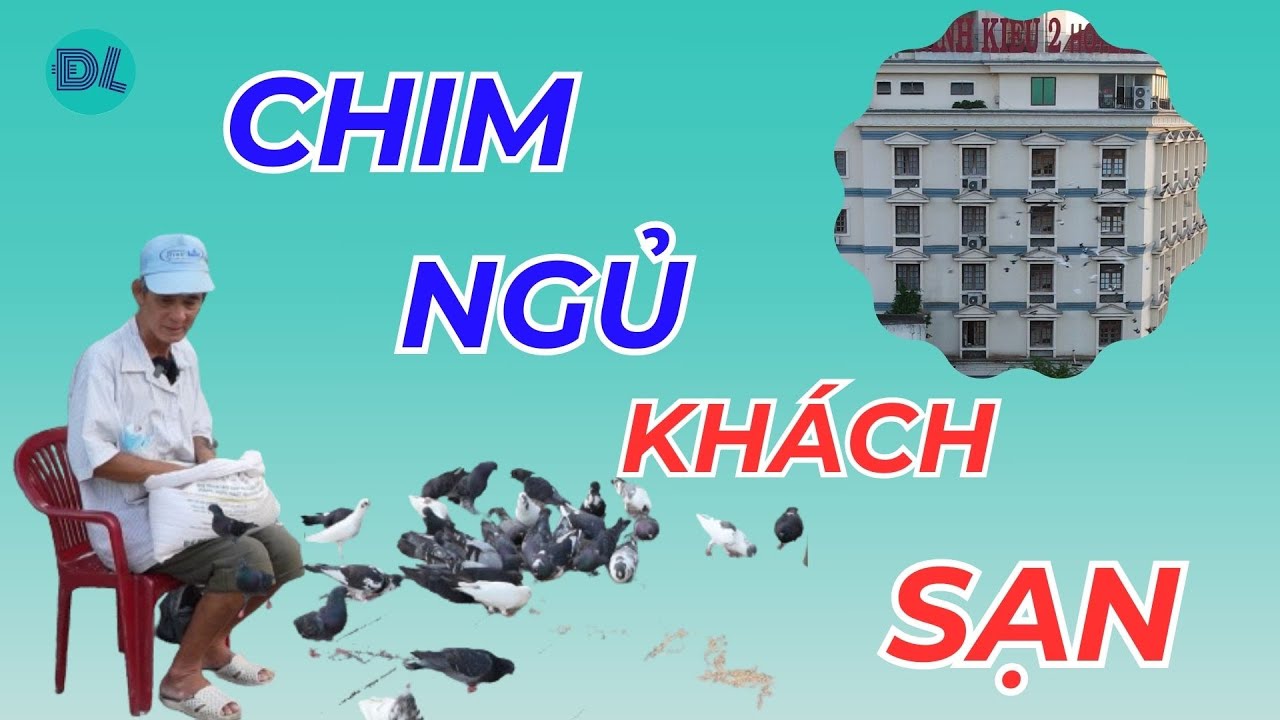 Người đàn ông cho chim trời ngủ khách sạn, ăn miễn phí hàng chục năm - ĐỘC LẠ BÌNH DƯƠNG