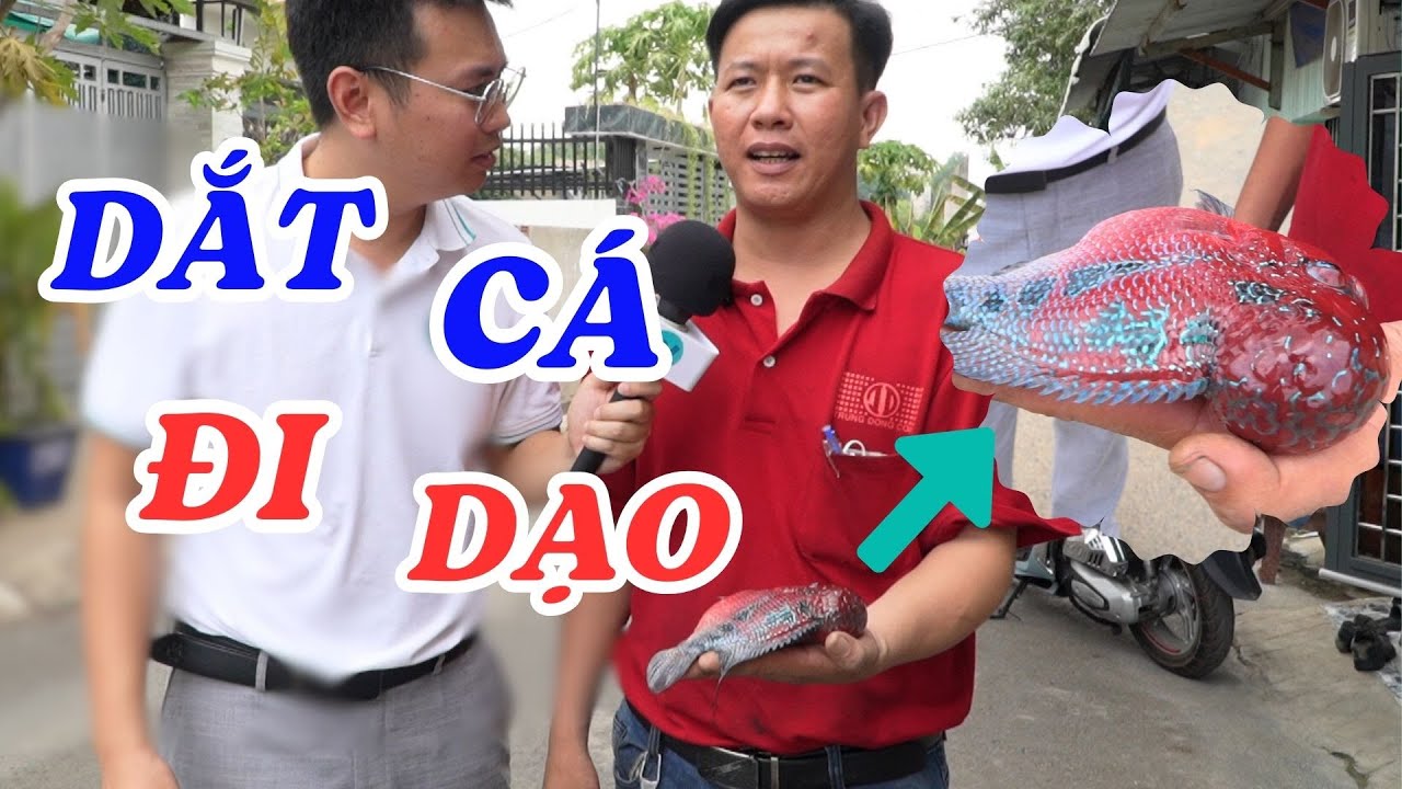 Chuyện khó tin, người đàn ông "dắt" cá đi dạo - ĐỘC LẠ BÌNH DƯƠNG