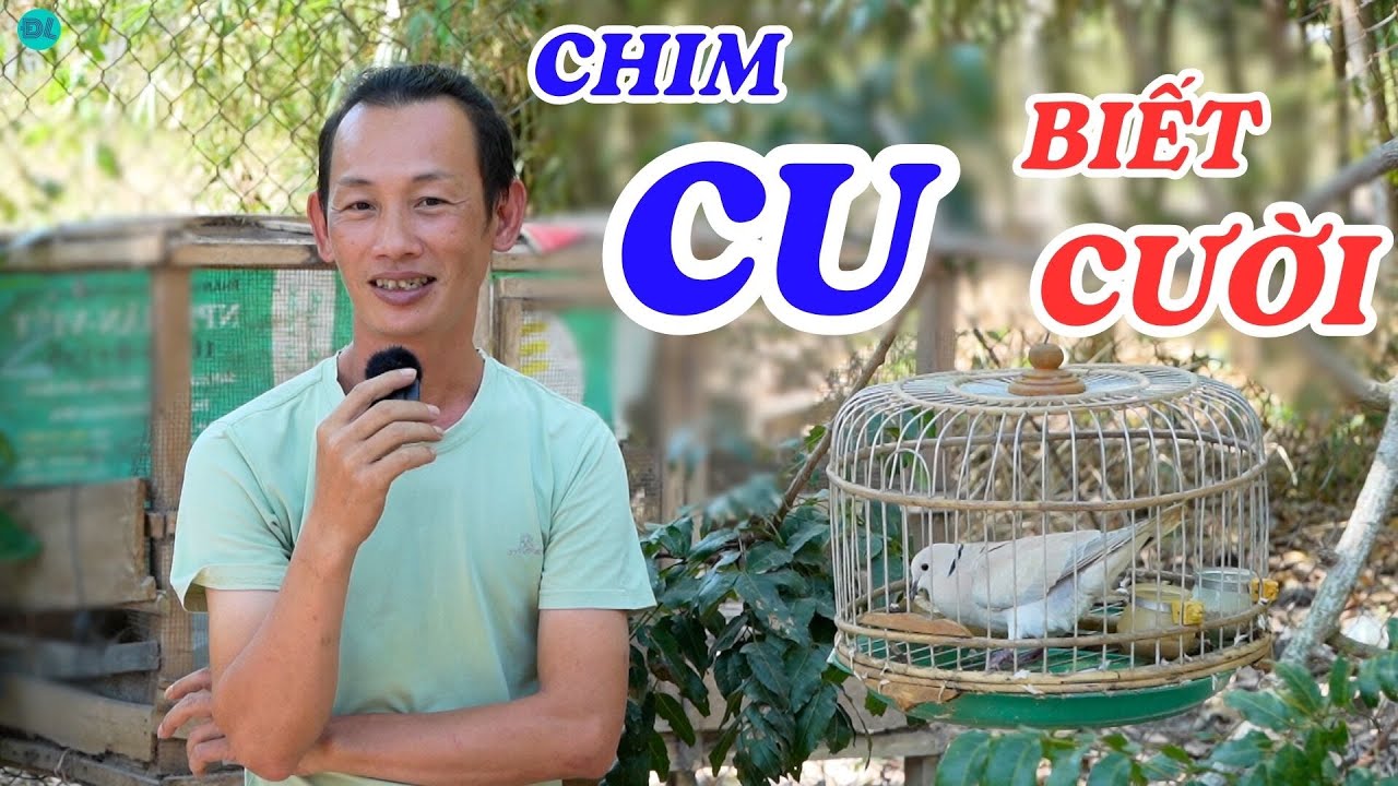 Chú cu kỳ lạ, kêu như tiếng người đang cười - ĐỘC LẠ BÌNH DƯƠNG