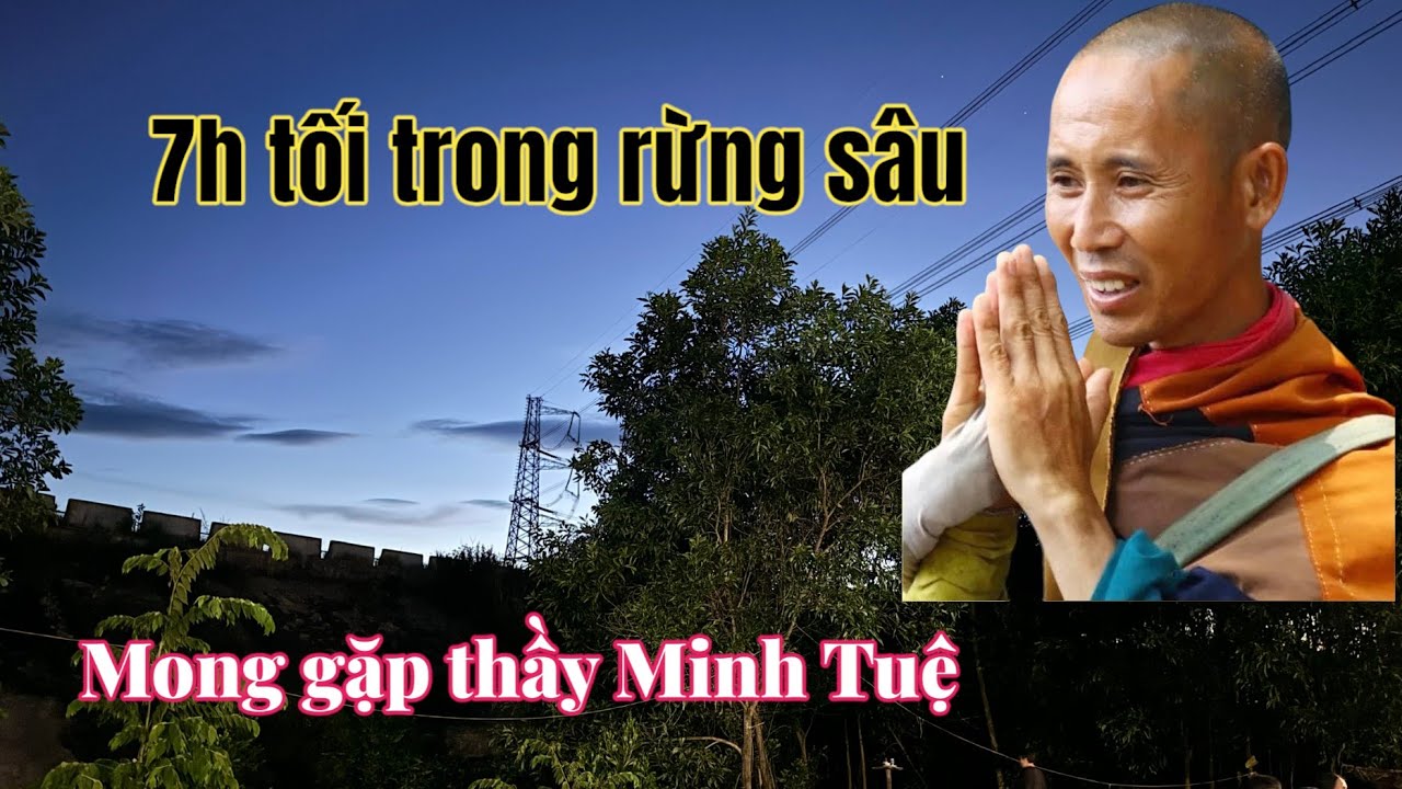 7h tối Bà Con Huế Chui Vào Rừng Mong Gặp Thầy Minh Tuệ Và CÁI KẾT